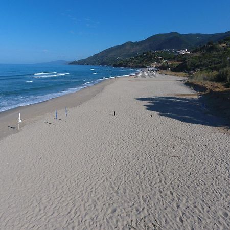 Residence Le Palme - Appartamenti Sul Mare - Spiaggia Tra Palinuro E Caprioli Pisciotta Luaran gambar
