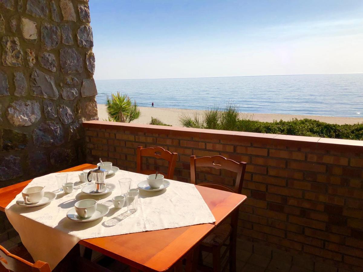 Residence Le Palme - Appartamenti Sul Mare - Spiaggia Tra Palinuro E Caprioli Pisciotta Luaran gambar