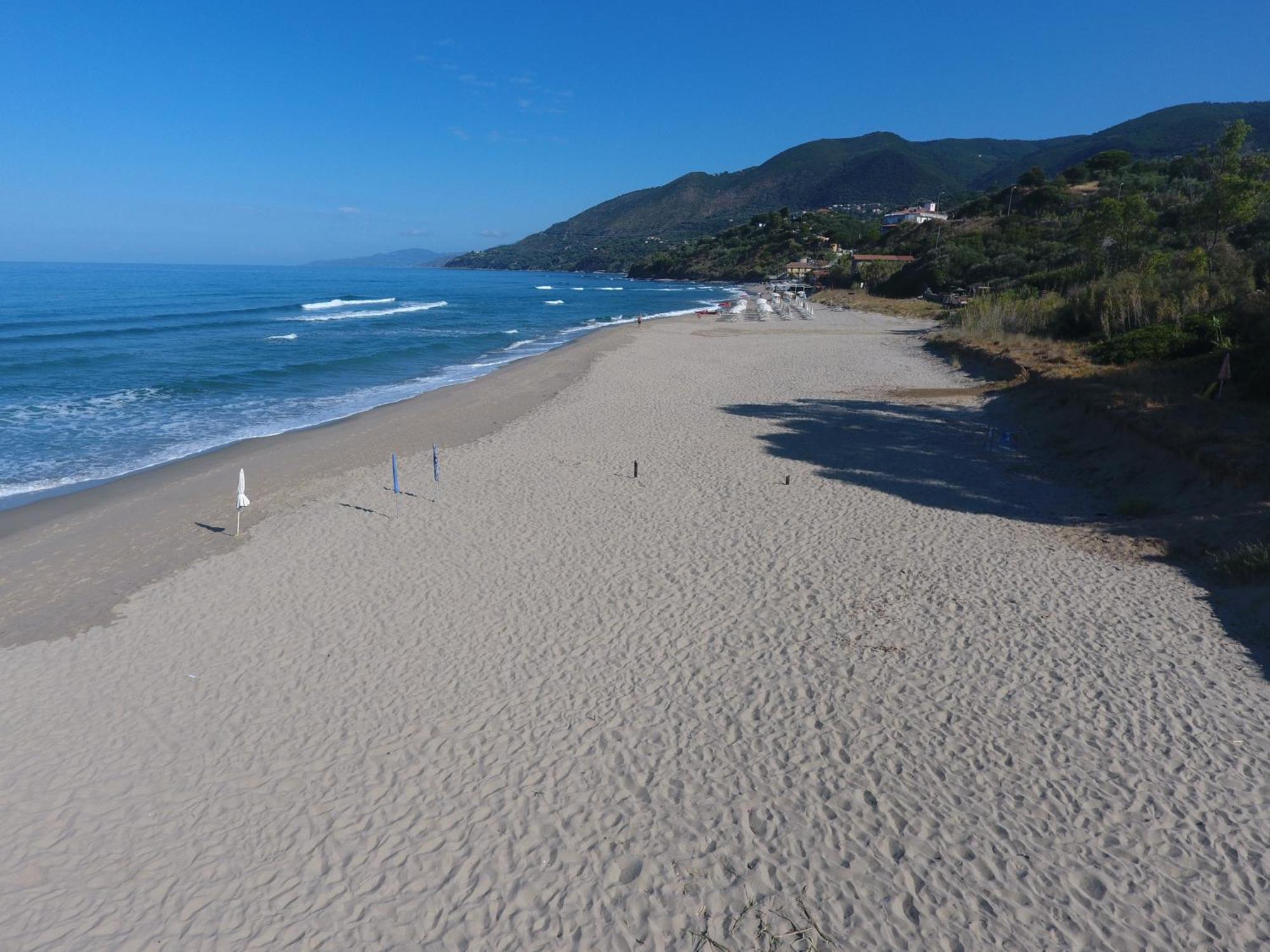 Residence Le Palme - Appartamenti Sul Mare - Spiaggia Tra Palinuro E Caprioli Pisciotta Luaran gambar